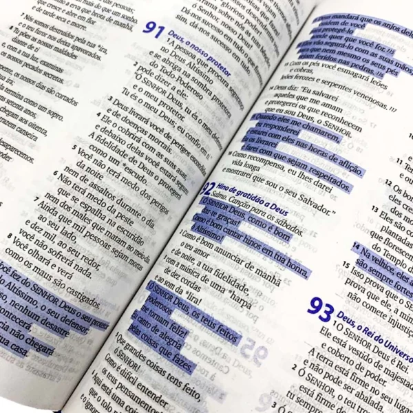 Bíblia Sagrada 3 Palavrinhas | NTLH | Capa Dura - Imagem 5