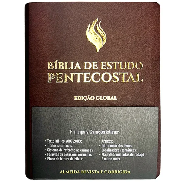 BÍBLIA DE ESTUDO PENTECOSTAL |GRANDE LUXO| MARROM (EDICAO GLOBAL) - Imagem 2