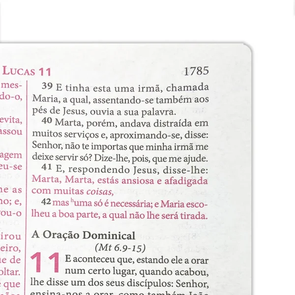 BÍBLIA DE ESTUDO PENTECOSTAL |GRANDE LUXO| MARROM (EDICAO GLOBAL) - Imagem 4