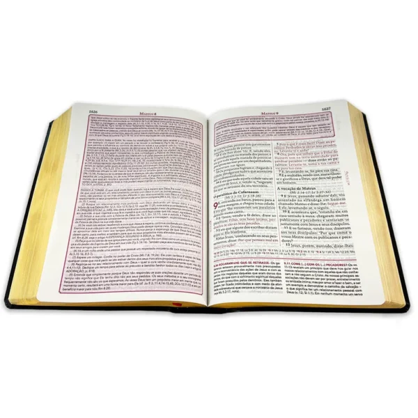 BÍBLIA DE ESTUDO PENTECOSTAL |GRANDE LUXO| MARROM (EDICAO GLOBAL) - Imagem 5