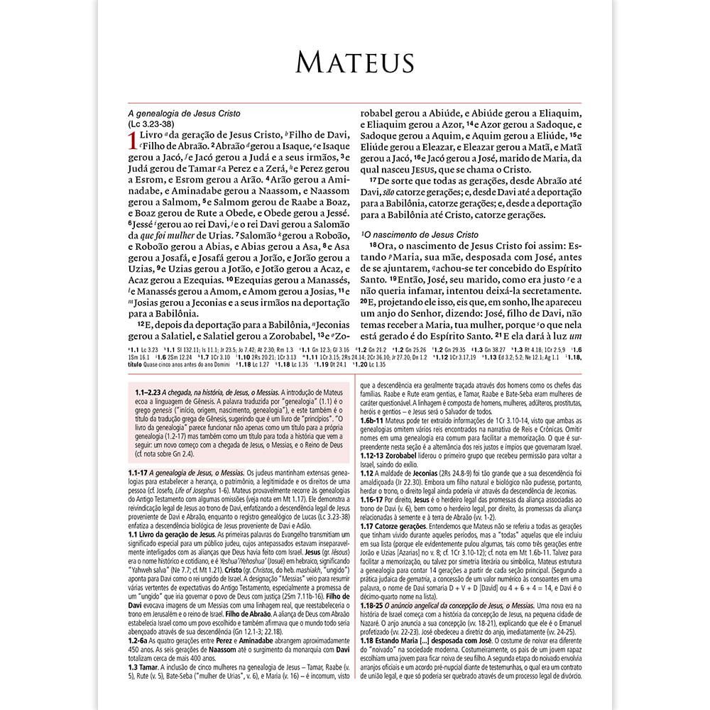 Bíblia de Estudo Patmos| Luxo Vinho| ARC - Imagem 2