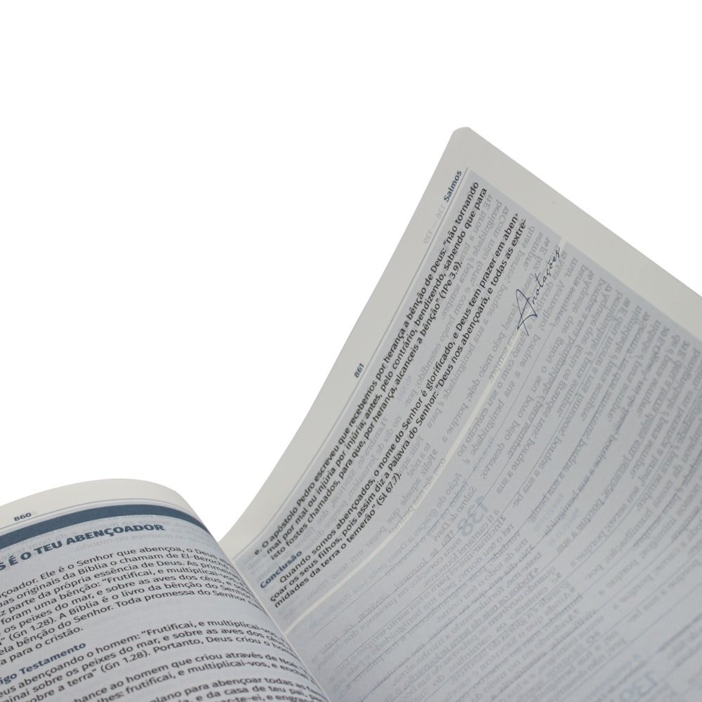 Bíblia do Jovem Pregador Pentencostal| ARC|SBB - Imagem 4