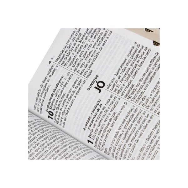 Bíblia Sagrada | Letra Gigante | Edição c/ Letras Vermelhas| ARC - Imagem 3