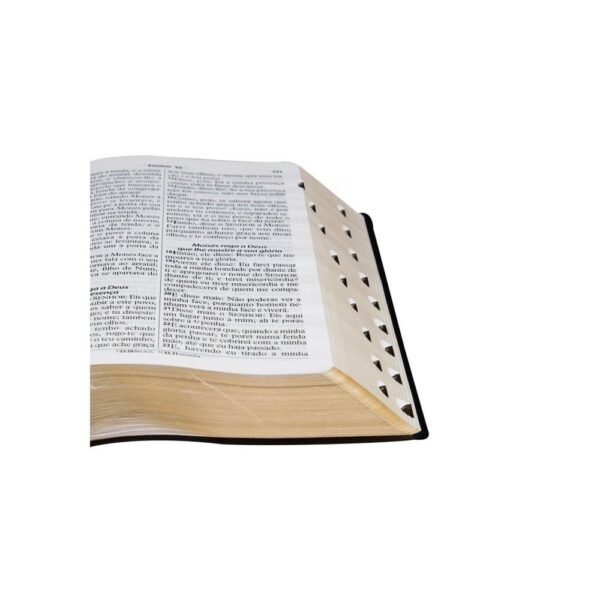 Bíblia Sagrada | Letra Gigante | Edição c/ Letras Vermelhas| ARC - Imagem 2