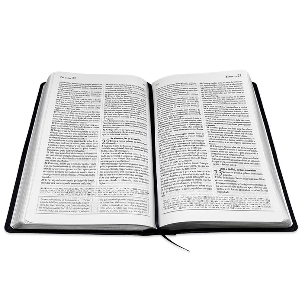 BIBLIA DE ESTUDO EXPLICADA MEDIA LUXO HARPA CRISTA AZUL - Imagem 4