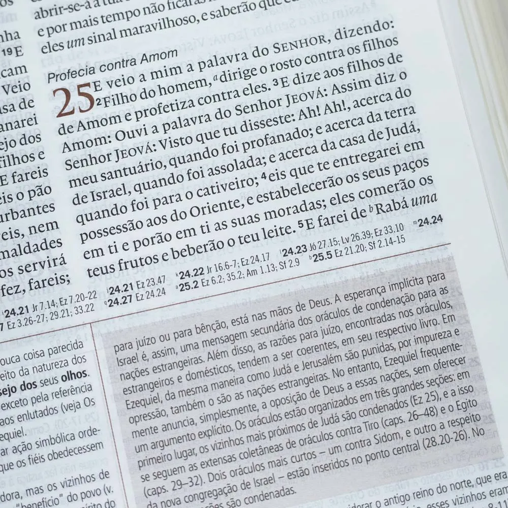 BIBLIA DE ESTUDO PATMOS GRANDE LUXO PRETA - Imagem 7