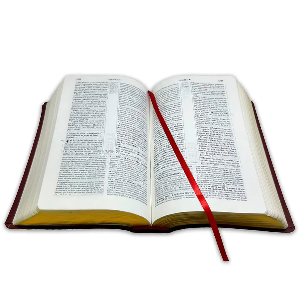 BIBLIA DE ESTUDO PENTECOSTAL MEDIA LUXO HARPA CRISTA VINHO - Imagem 4