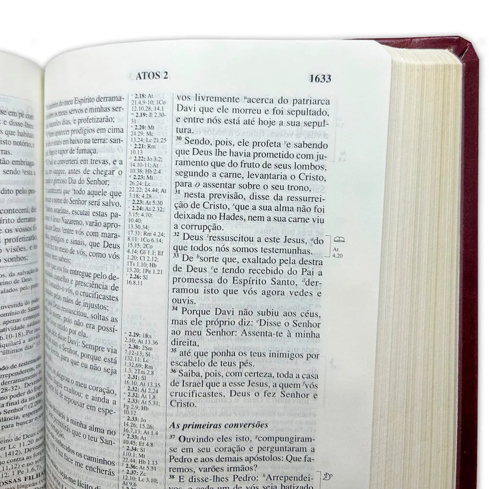 BIBLIA DE ESTUDO PENTECOSTAL MEDIA LUXO HARPA CRISTA VINHO - Imagem 5