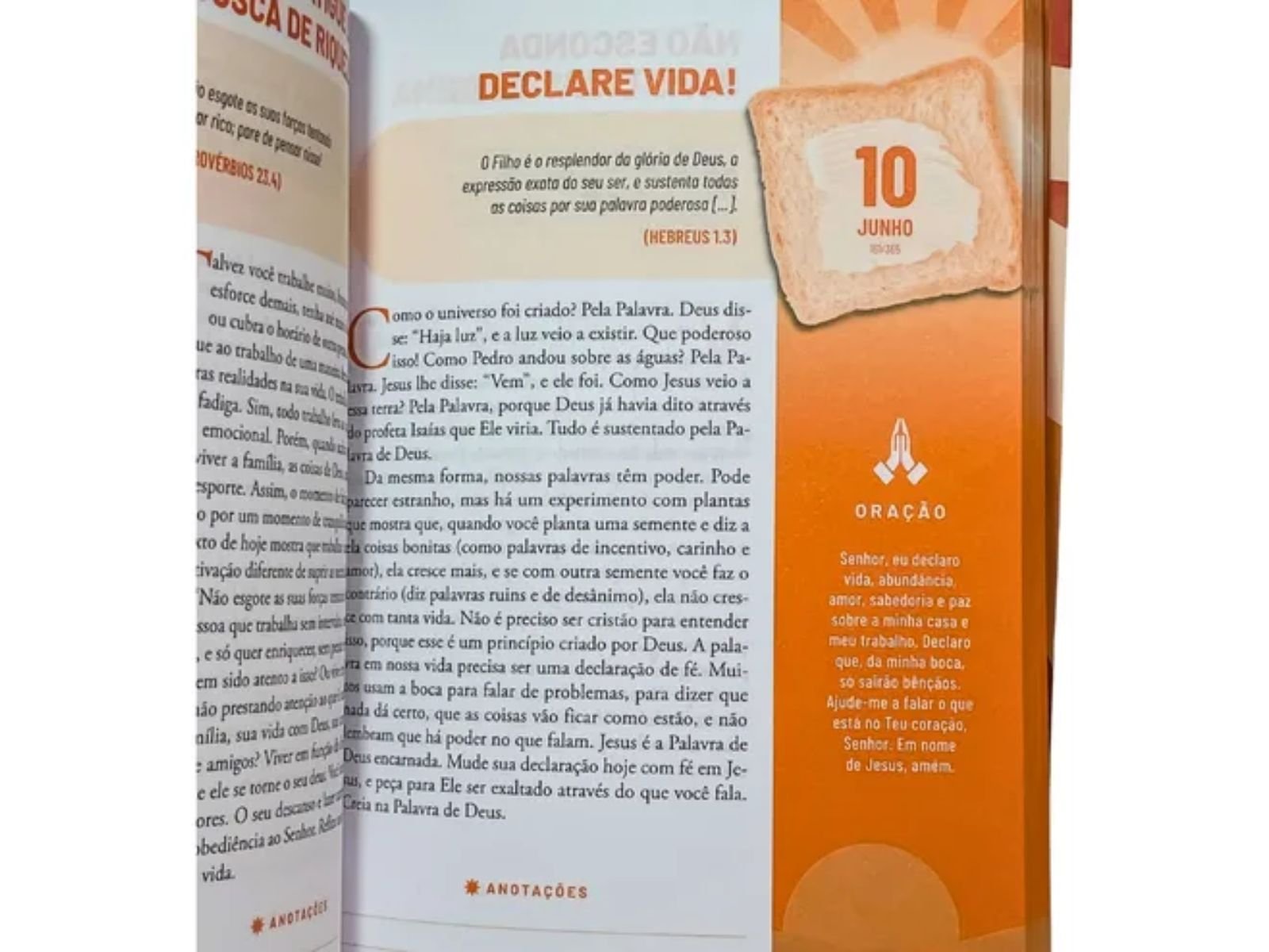 DEVOCIONAL MANHA COM DEUS - 2026 - Imagem 2
