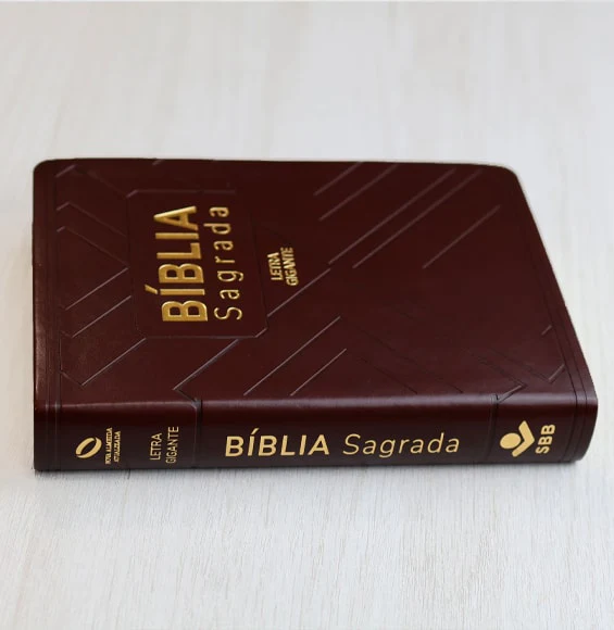 Bíblia Dagrada| Letra Gigante| NAA| CP SINT NOBRE MARROM C/INDECE - Imagem 3