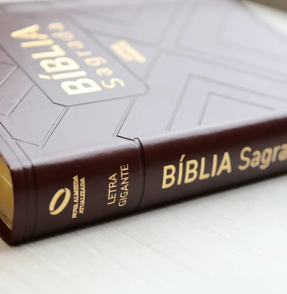 Bíblia Dagrada| Letra Gigante| NAA| CP SINT NOBRE MARROM C/INDECE - Imagem 5