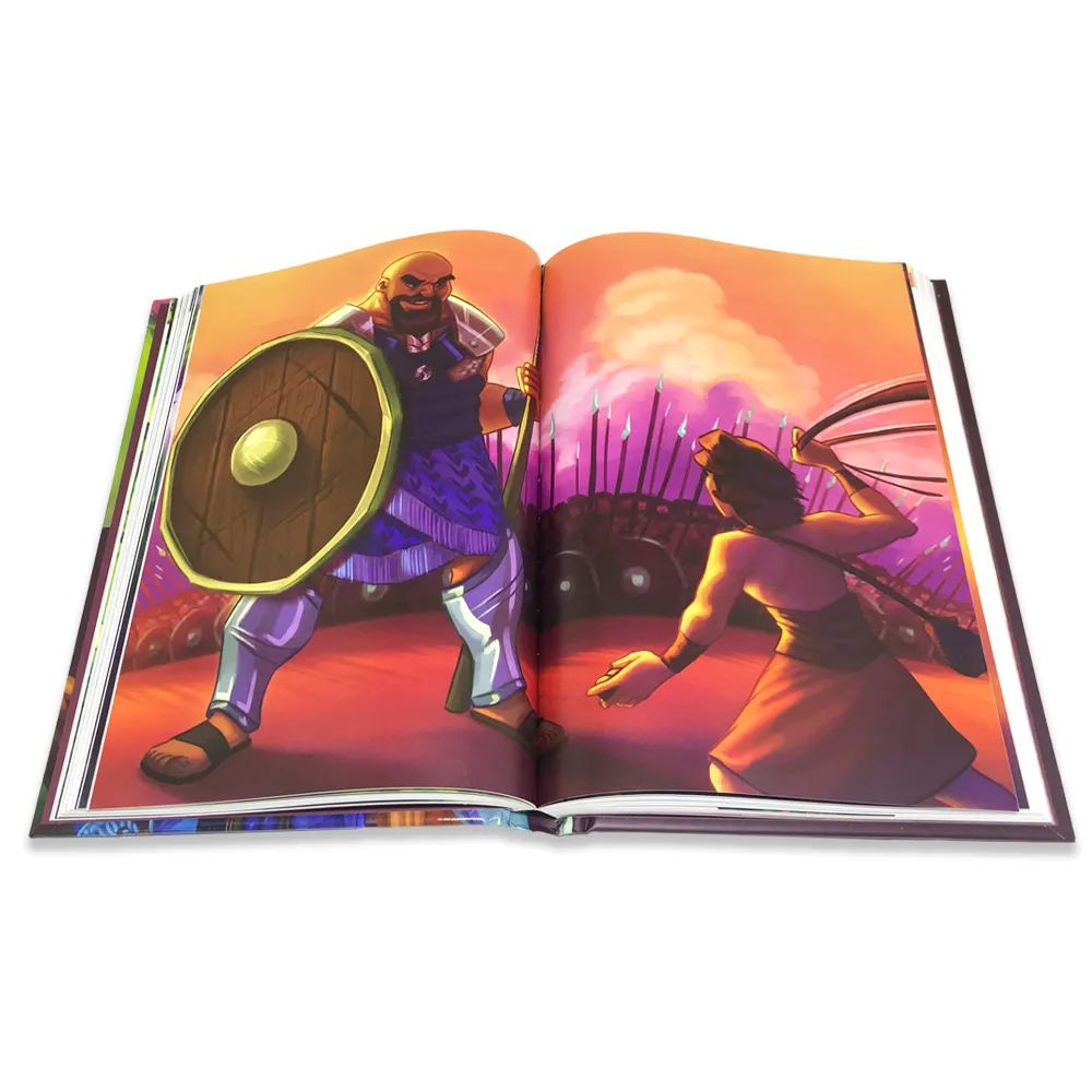 BIBLIA O MARAVILHOSO PLANO DE DEUS - Imagem 2