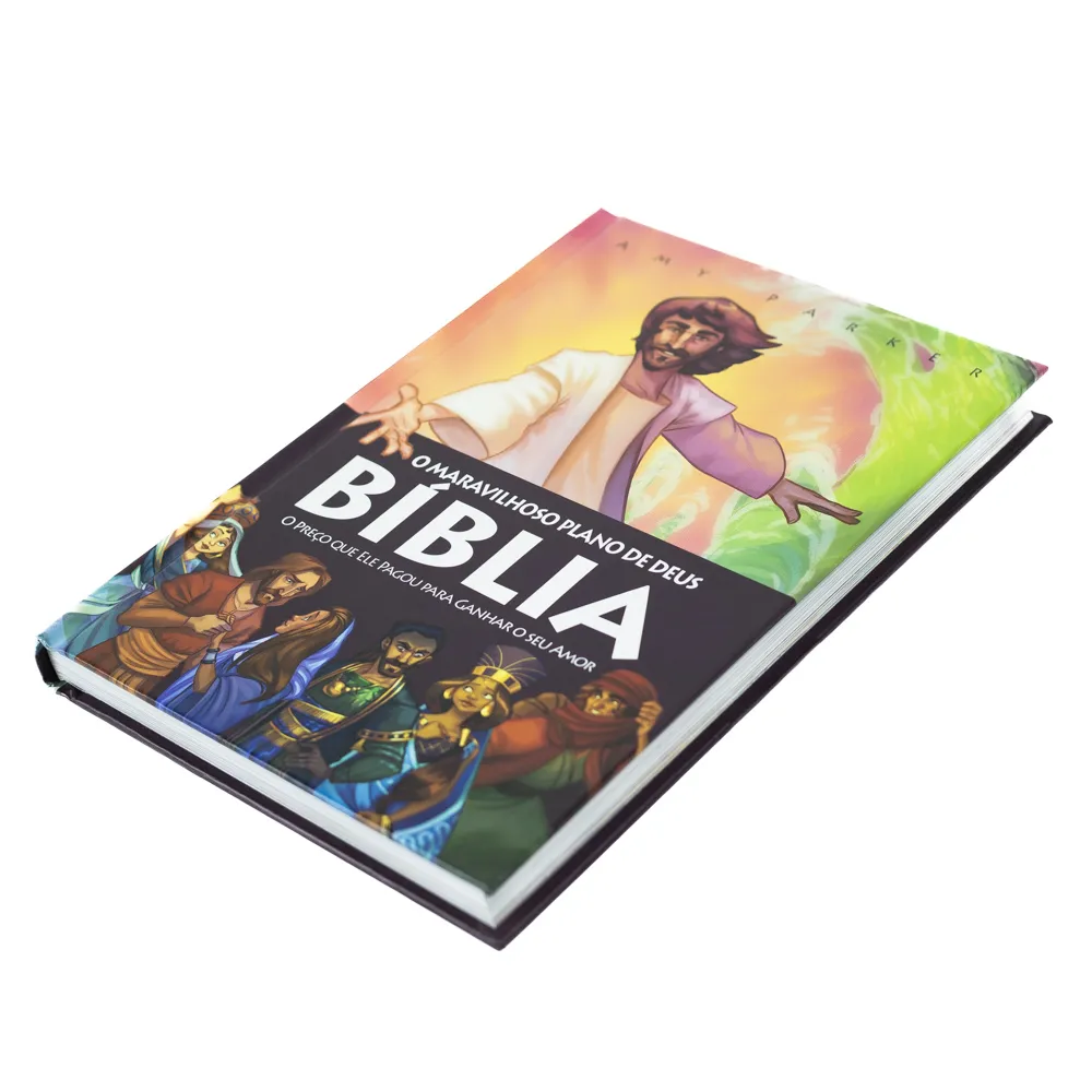 BIBLIA O MARAVILHOSO PLANO DE DEUS - Imagem 3